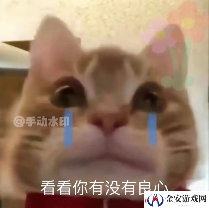 男人把QQ号放进女人表情包里